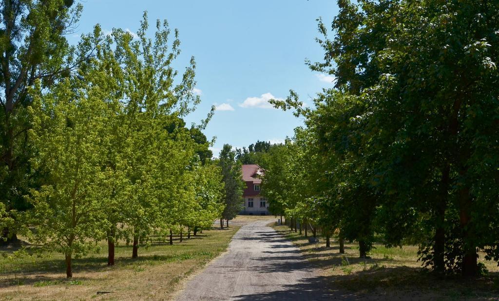 Gospodarstwo Nad Jeziorem Zalom (Czlopa) Exterior foto